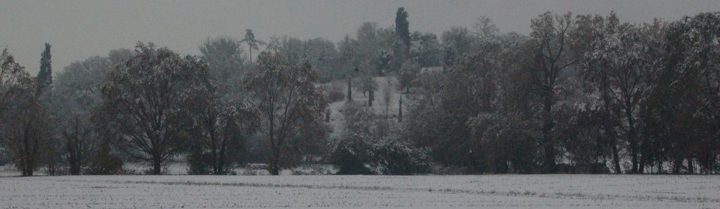 Festeggiamenti Natalizi a Imola: Un Calendario Ricco di Eventi