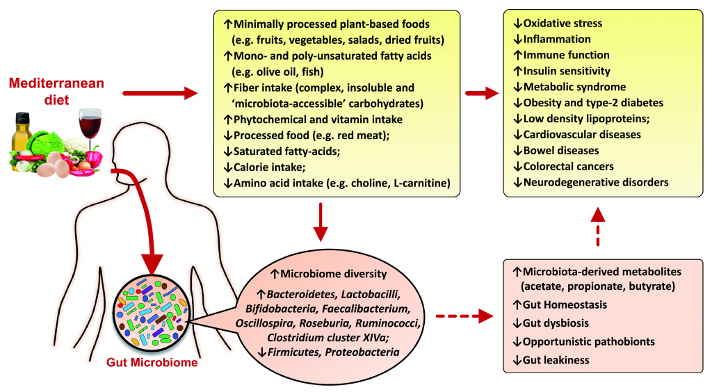 La dieta mediterranea: un elisir di lunga vita per il cervello