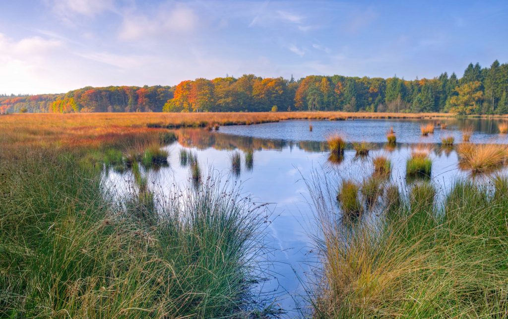 Esplorando le meraviglie della Salina di Cervia