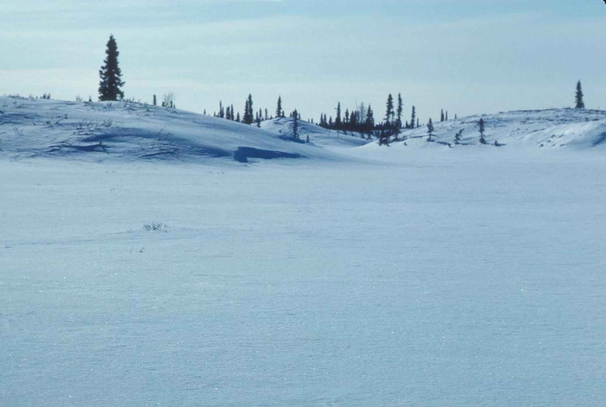 Un Sentiero Tra Gessi e Calanchi: Un’Avventura di Settimana nell’Emilia-Romagna