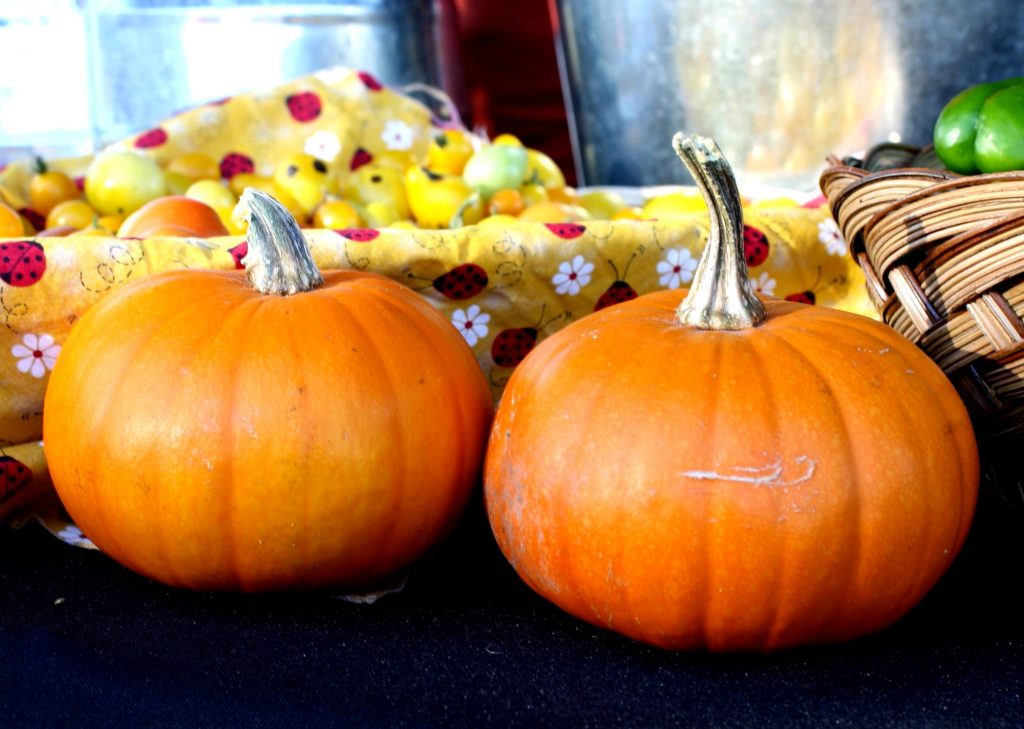 La versatilità della zucca in cucina: conservazione e ricette