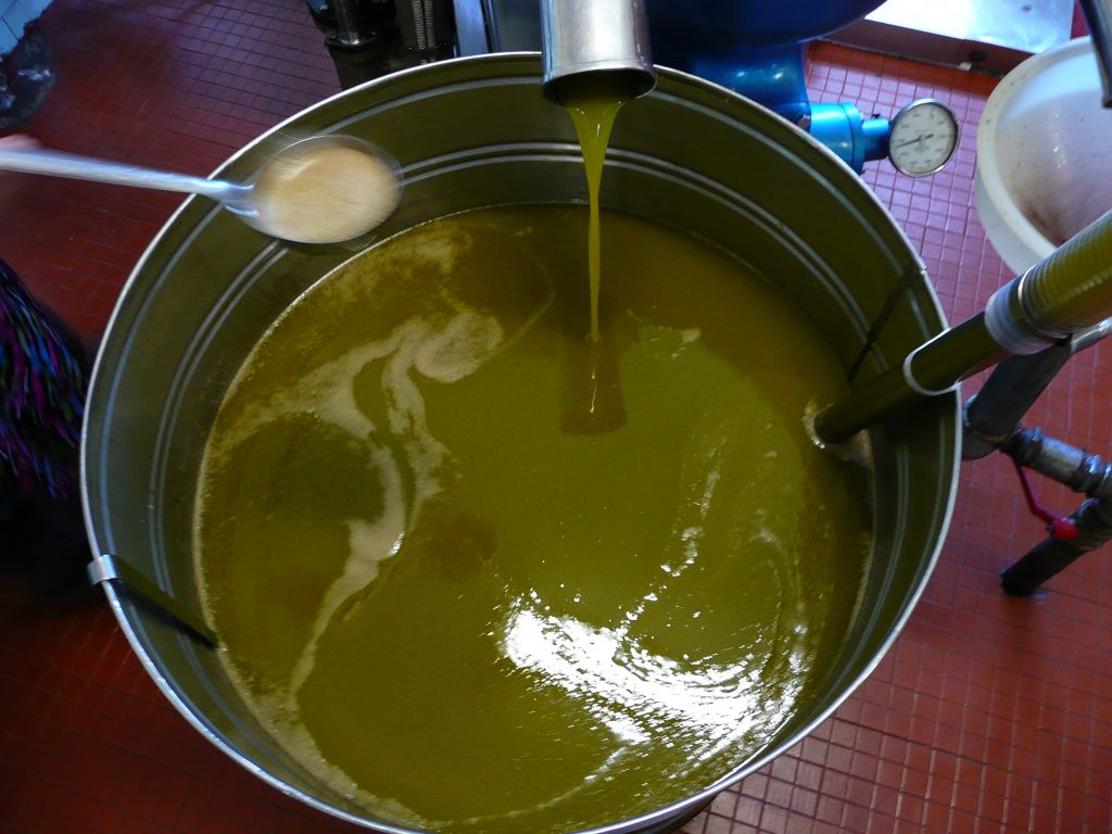 Il valore nutrizionale di olive e olio extravergine di oliva