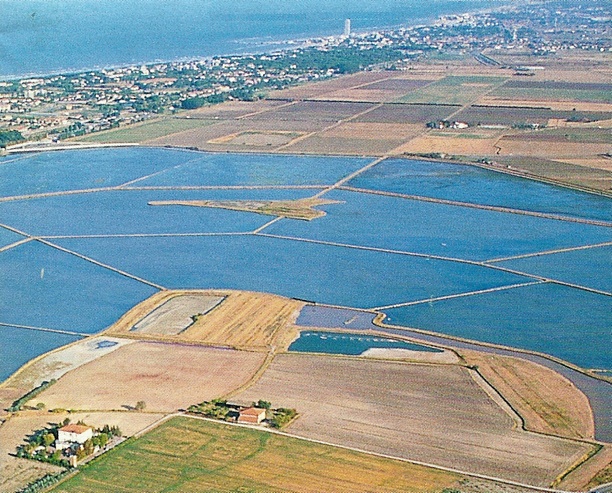 Il Parco Naturale delle Saline di Cervia: un tesoro romagnolo tra storia, natura e gastronomia
