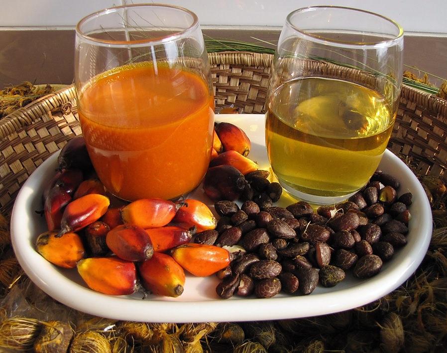 L’olio di palma: riabilitato al Salone del Gusto? | Romagna a Tavola