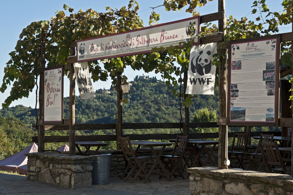 L’Osteria del Vicolo Nuovo di Imola: Un’Esperienza Gastronomica Romagnola