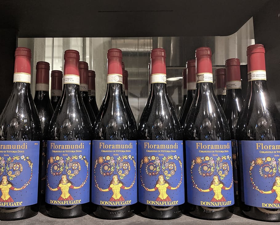 Modigliana’s Winemakers Honored at Vinitaly: A Testament to Resilience and Excellence