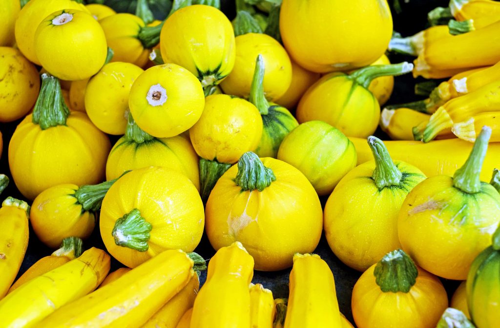 Il Ristorante Cerina di Cesena riapre i battenti: un’autunnale celebrazione del gusto