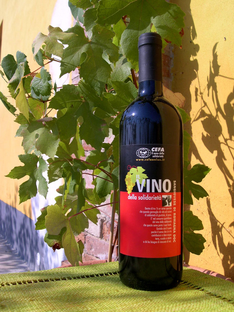 Il Sangiovese: Un’icona enologica romagnola