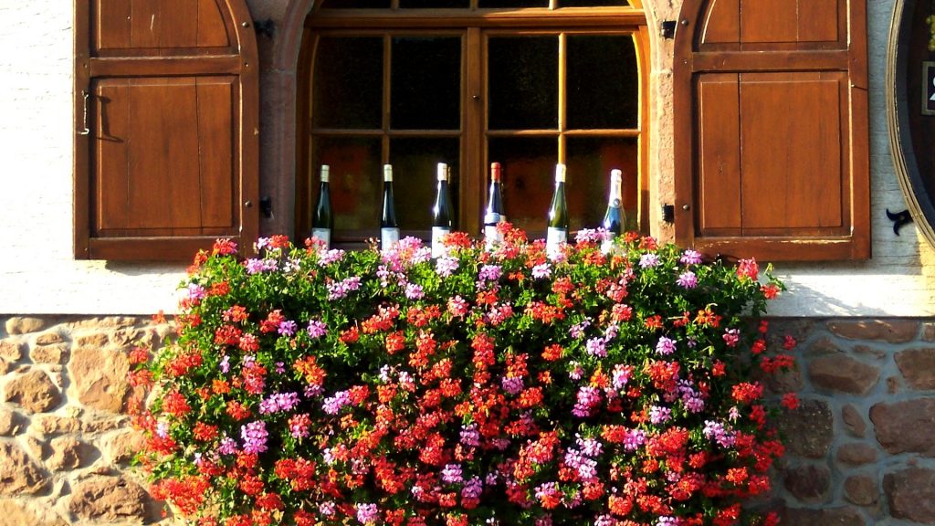 Santarcangelo in Fiore: Primavera di Arte, Cultura e Sapori