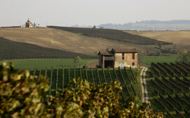 Esplorando la Romagna: un anno di eventi 2025