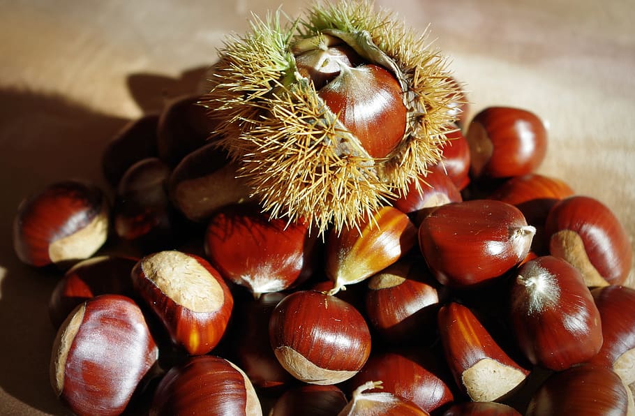 Il Castagnaccio Romagnolo: Un Dolce Tradizionale di Autunno