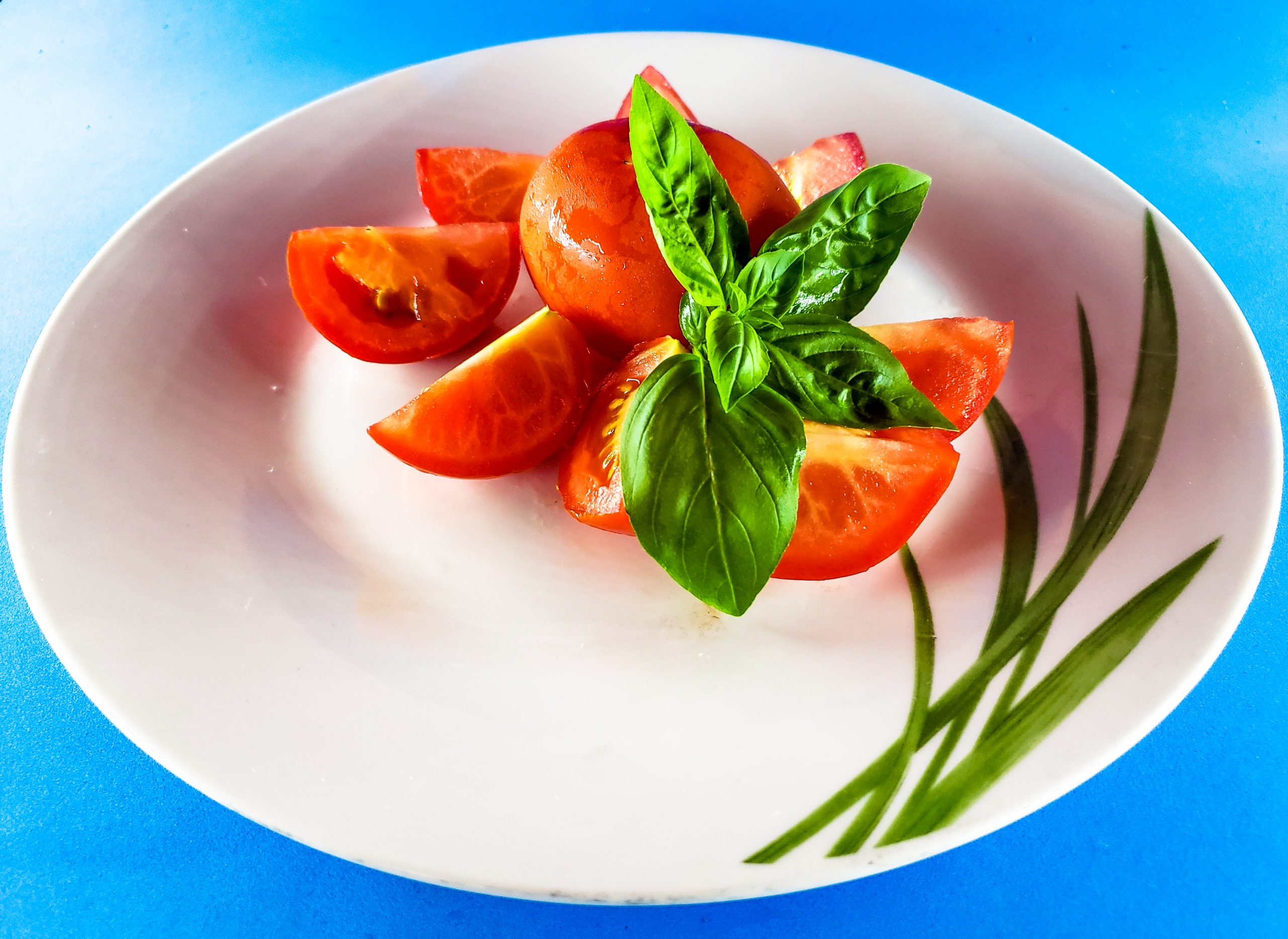 Il Settimo VegFest di Gambettola: Un Weekend di Informazione e Spettacolo