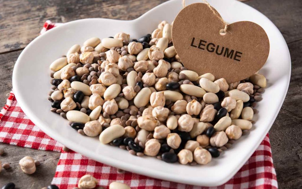 Legumi misti secchi in un piatto
