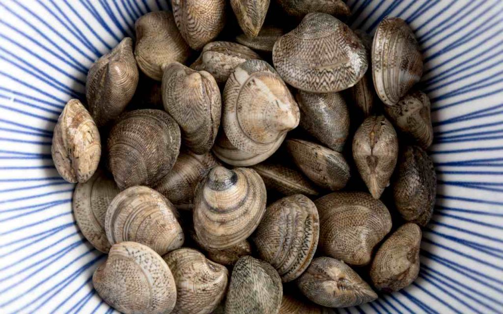 Le chiamano ‘vongole killer’: ne mangi una e finisci in codice rosso al pronto soccorso | Già è successo a migliaia di italiani