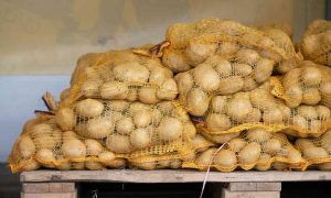 sacchi di patate