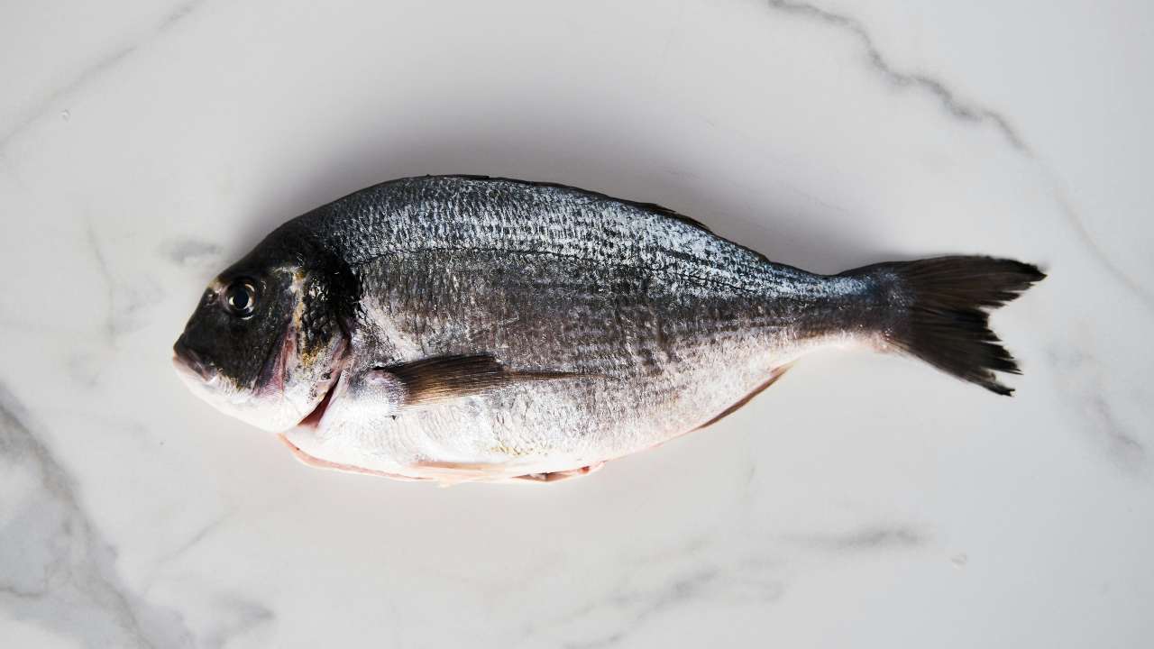 Orata (pexels.com) - romagnaatavola.it