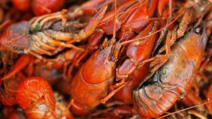 Pulizia gamberi (pexels.com) - romagnaatavola.it