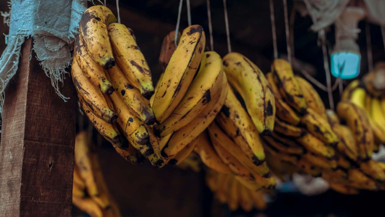 banane mature appese