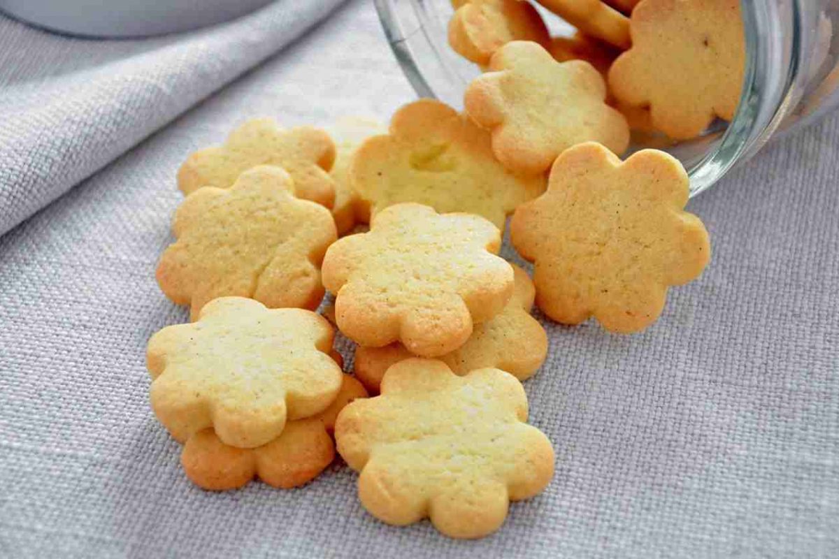 Stop ai biscotti sbagliati: ingredienti nascosti e additivi ovunque | questi non li devi mangiare mai