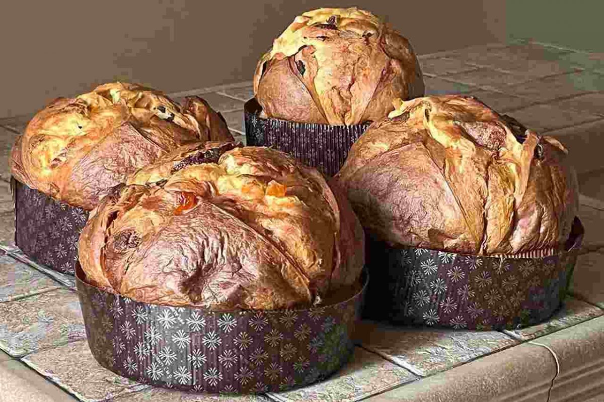 Panettone fatto in casa, la ricetta semplicissima: così lo fanno in mezz’ora nei ristoranti | Il più buono