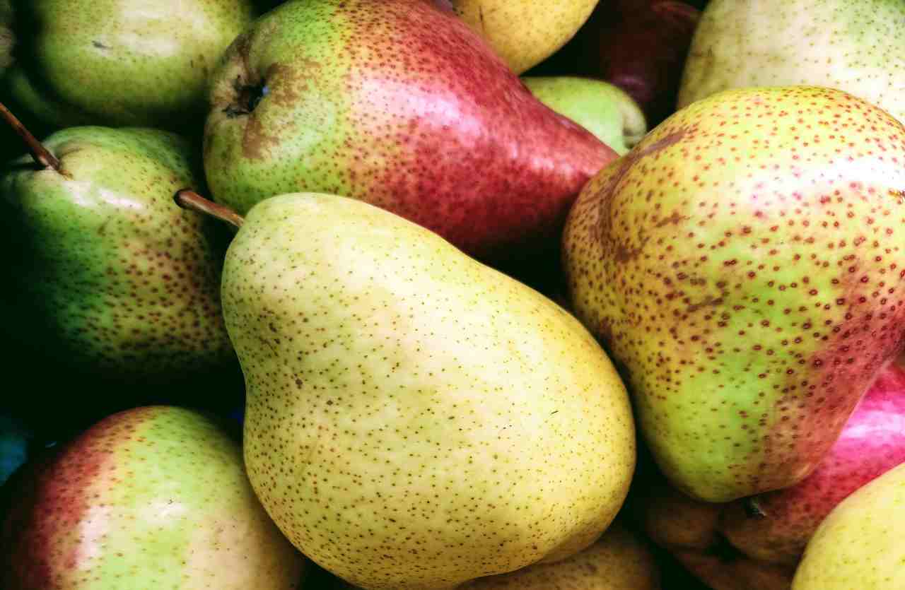 Frutto simbolo delle coltivazioni dell'Emilia-Romagna