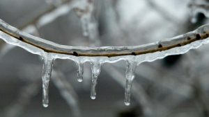 Sbrinare il freezer (pexels.com) - romagnaatavola.it