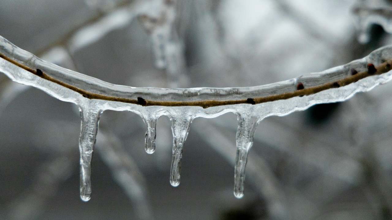 Sbrinare il freezer (pexels.com) - romagnaatavola.it