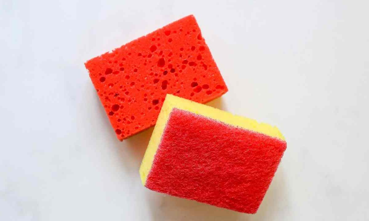 Spugne da cucina