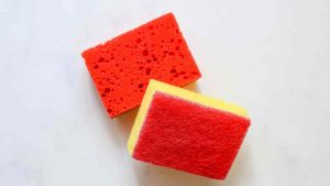 Spugne da cucina