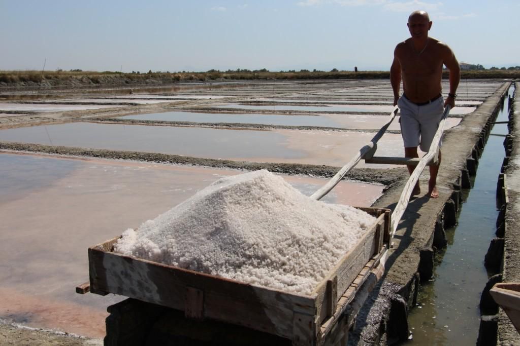 Raccolta del sale nella Salina Camillone di Cervia