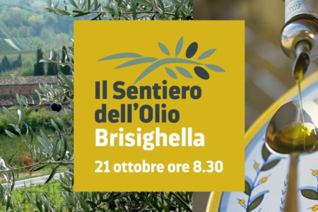 Visita guidata sul sentiero dell'olio a Brisighella | Romagna a Tavola