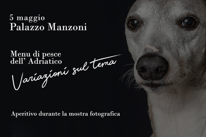 Variazioni sul tema, serata con mostra fotografica a Palazzo Manzoni