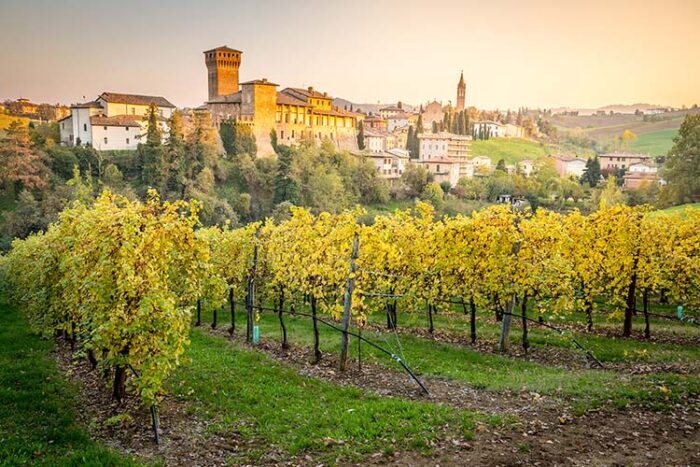 I segreti del vino alla Rocca di Dozza